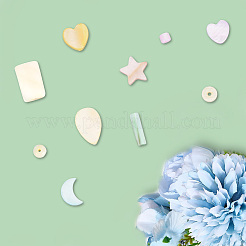 120 Stück natürliche Muschelperlen in Macaron-Farbe&nbsp;SHEL-SC0001-71