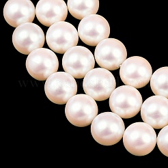 Fili di perle di conchiglie galvanizzate&nbsp;BSHE-C011-01D