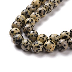 Dalmata naturale perline di diaspro fili&nbsp;G-Q462-10mm-30