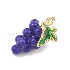Anhänger aus Emaille mit Obstmotiv&nbsp;ENAM-P264-02G-G03