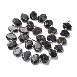 Perles naturelles Iolite brins&nbsp;G-G072-A06-03