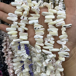 1 Strang gefärbte natürliche Trochus-Muschelperlenstränge&nbsp;SSHEL-PA0001-01B
