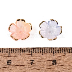 Chapeaux de perles en plastique&nbsp;KY-Q005-04A-M02
