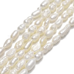 Fili di perle di perle d'acqua dolce coltivate naturali, riso, biancheria, 4~7x2.8~3.2mm, Foro: 0.5 mm, circa 64~67pcs/filo, 13.98''~14.17
