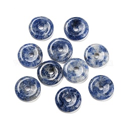 Anhänger mit Sicherheitsschnalle aus natürlichem blauem Jaspis aus China, 15~16x3~4 mm, Bohrung: 3 mm
