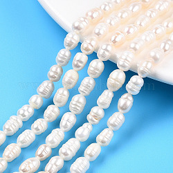 Fili di perle di perle d'acqua dolce coltivate naturali, riso, colore conchiglia, 7~11x5.5~6.5mm, Foro: 0.7 mm, circa 43~45pcs/filo, 13.70 pollice ~ 13.94 pollici (34.8~35.4 cm)