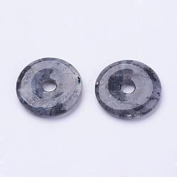 Pendentifs en larvikite naturelle, disque de donut / pi, largeur du beignet: 11~12 mm, 28~30x5~6mm, Trou: 6mm