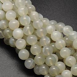 Round Natural White Moonstone Bead Strands, Grade A, 12mm, Hole: 1mm, about 33pcs/strand, 15.74 inch