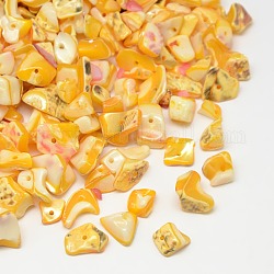 Крашеные натуральные пресноводные ракушки, осколки оболочки, оранжевые, 9~12x6~15 мм, отверстие : 1 мм, Около 900 шт / 500 г