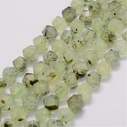 Natural Prehnite Bead Strands, Star Cut Round Beads, Faceted, 10x9x9mm, Hole: 1mm, about 40pcs/strand, 15.3 inch(39cm)