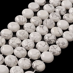 Природные Говлит бисер нитей, плоско-круглые, 14.6~15.5x6~6.5 мм, отверстие : 0.8 мм, около 27 шт / нитка, 15.59''~15.87'' (39.6~40.3 см)