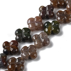 Chapelets de perles en agate indienne naturelle, fleur, 13~14x13~14x5~5.5mm, Trou: 1.2mm, Environ 15 pcs/chapelet, 7.95'' (20.2 cm)