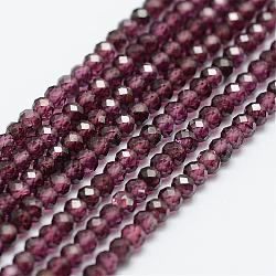 Granato naturale fili di perle, sfaccettato, tondo, 3mm, Foro: 0.5 mm, circa 120~124pcs/filo, 12.8 pollice (325 mm)