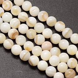 Natürliche Süßwasserschale runde Perlenstränge, 6 mm, Bohrung: 1 mm, ca. 62 Stk. / Strang, 14.5 Zoll