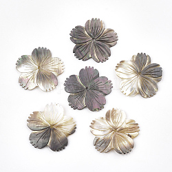 Labbro nero shell perle, fiore, nero, 37~38x39x2mm, Foro: 2 mm