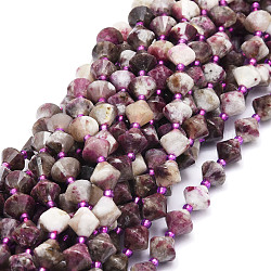 Natural Plum Blossom Tourmaline Beads Strands, Faceted, Bicone, 8x8mm, Hole: 1mm, about 40pcs/strand, 15.24''(38.7cm)