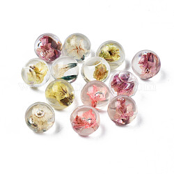 Translucent Acrylic Cabochons, with Dried Flower, Round, Mixed Color, 10x9mm