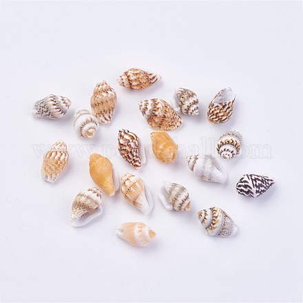 Perles de coquille BSHE-P026-35-1