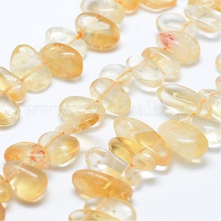 Chapelets de perles de citrine naturelle G-K180-O08-1