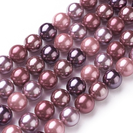 Chapelets de perles en coquille électrolytique X-BSHE-O019-03G-1
