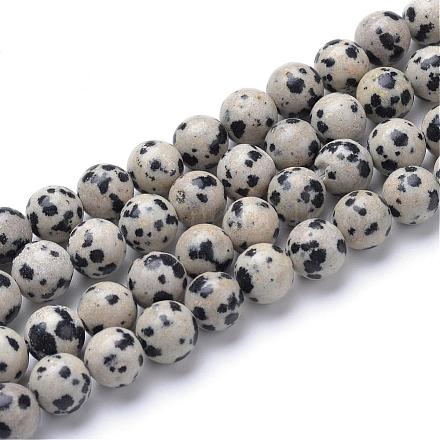 Dalmatien naturel Jasper brins de perles G-R345-8mm-51-1