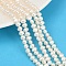 Natural Cultured Freshwater Pearl Beads Strands, Two Sides Polished, Grade 4A+, Floral White, 4~5mm, Hole: 0.7mm, about 70~71pcs/strand, 33~33.3cm