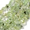 Natural Prehnite Beads Strands, Chip, 5~8mm, Hole: 1mm, about 80~81cm