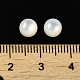 Cabuchones de conchas blancas naturales SSHEL-M022-01A-3