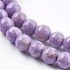 Dyed Natural Fossil Beads Strands G-E328-4mm-22-3