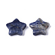 Natural Sodalite Star Shaped Worry Stones G-T132-002B-03-2