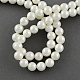Chapelets de perles en coquille BSHE-R146-20mm-02-2