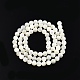 Fili di perline di conchiglia bianco naturale X-SSHEL-N003-144D-01-2