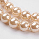 Chapelets de perles de coquille BSHE-K011-8mm-VA066-3
