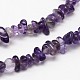 Chips Natural Amethyst Beads Strands X-G-N0164-62-2