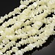 Chapelets de perles de coquillage naturel SHZ001-1