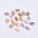 Perles de coquille BSHE-P026-35-1