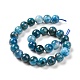 Natural Apatite Beads Strands G-S333-8mm-031A-3
