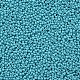 Perline di semi di vetro rotonde di grado 11/0 SEED-N001-A-1016-2