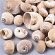 Perles de coquillage naturel SSHEL-S258-78-1
