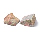 Grobe rohe natürliche Unakite-Perlen G-C231-09-2
