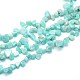 Amazonite Beads Strands G-O050-08-1