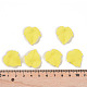 Ciondoli in acrilico satinato trasparente a tema autunnale PAF002Y-17-5