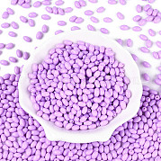 Выпечка краска стеклянные бусины SEED-T007-15H