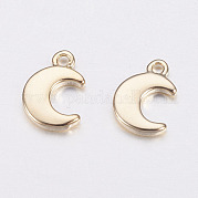 Long-Lasting Plated Brass Charms KK-F741-42G