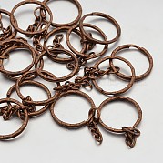 Железа отделились брелоки IFIN-H046-R