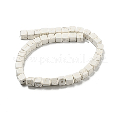 Fili di perline howlite sintetico&nbsp;G-G075-B01-01