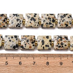 Natur Dalmatiner Jaspis Perlen Stränge&nbsp;G-F839-A19-01