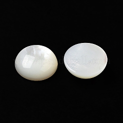 Natürliche weiße Muschel cabochons&nbsp;X-SSHEL-M022-01C