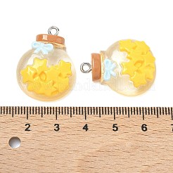 Pendentifs en résine transparente&nbsp;LS-RESI-K203-19