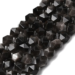 Natürliche silberne Obsidianperlenstränge&nbsp;G-Z119-A11-02